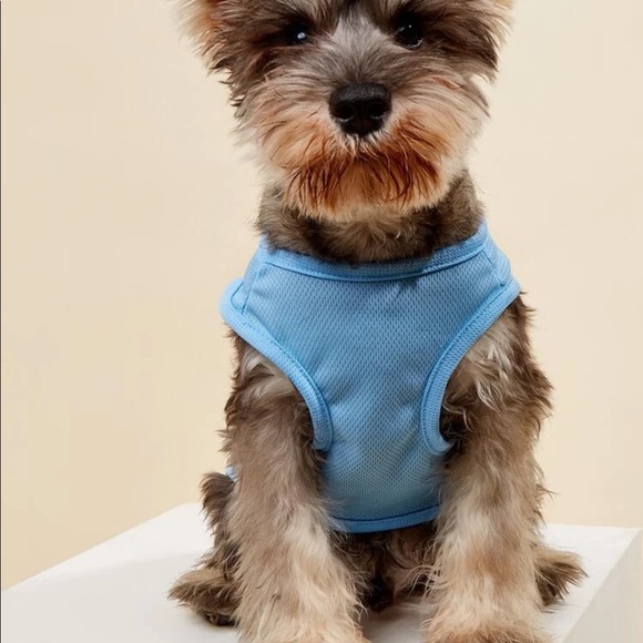 Paw Print Pet Tank - Picture 2 of 13